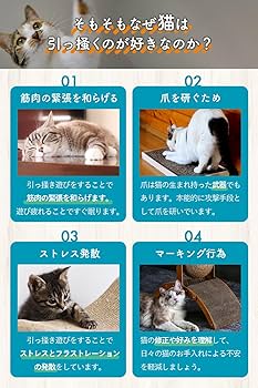 猫背プログラム 手技動画教材　DVD 古藤格啓 AtoZ、破壊魂 DVD